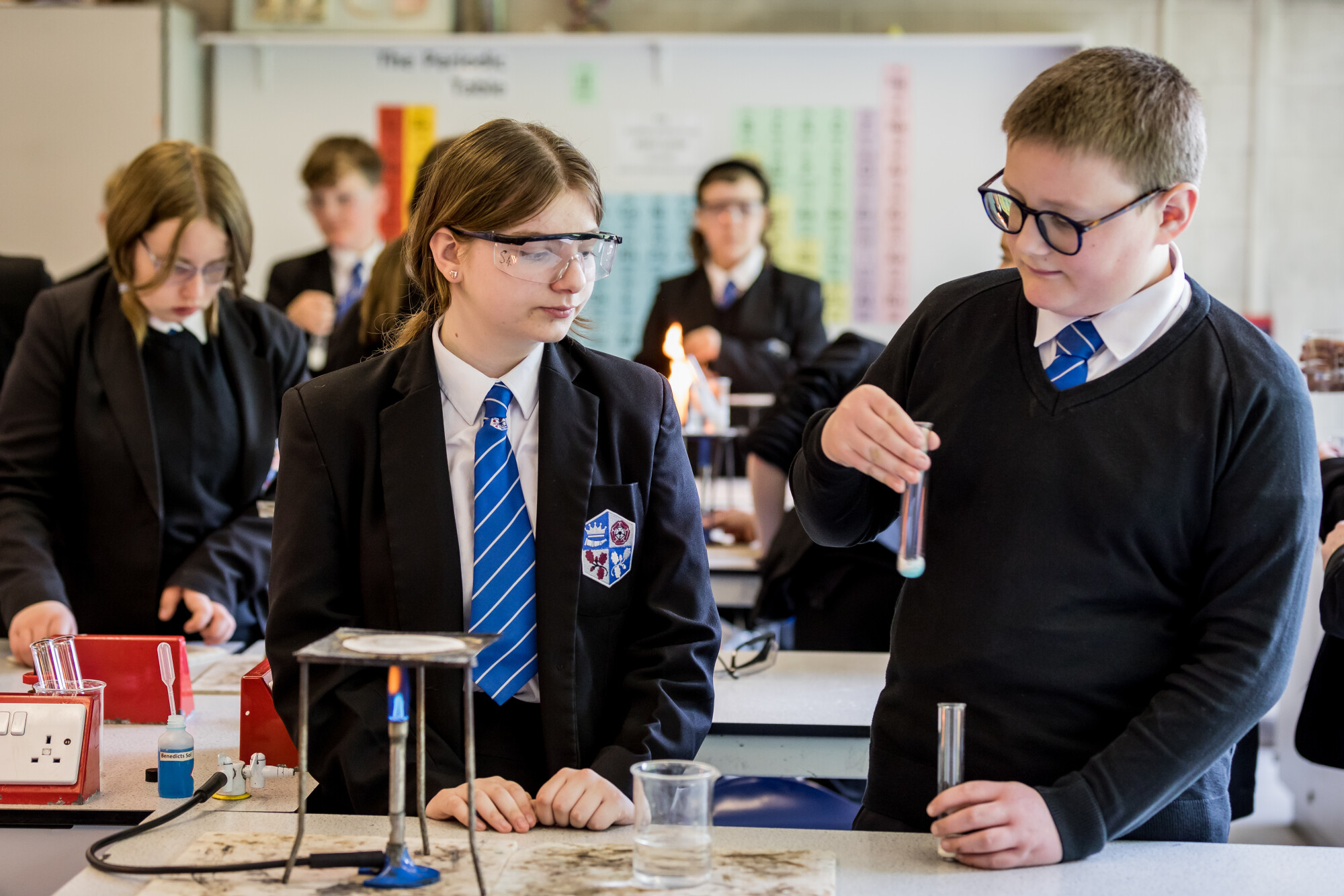 Search Results - The Clere School